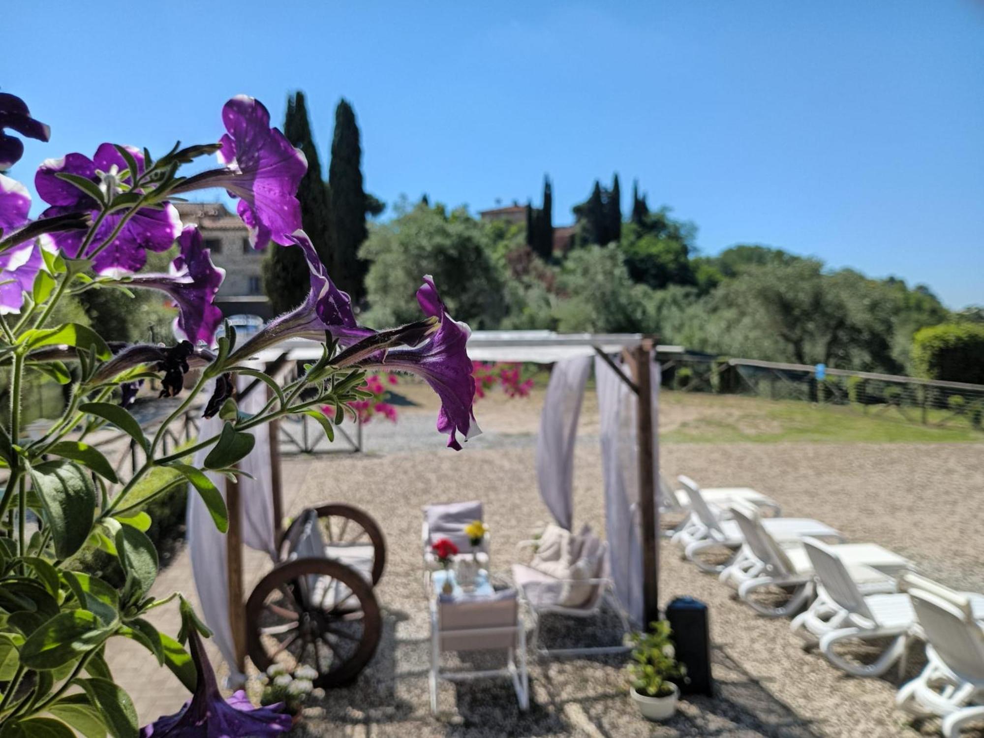 Villa Degli Olivi Nature シエーナ エクステリア 写真